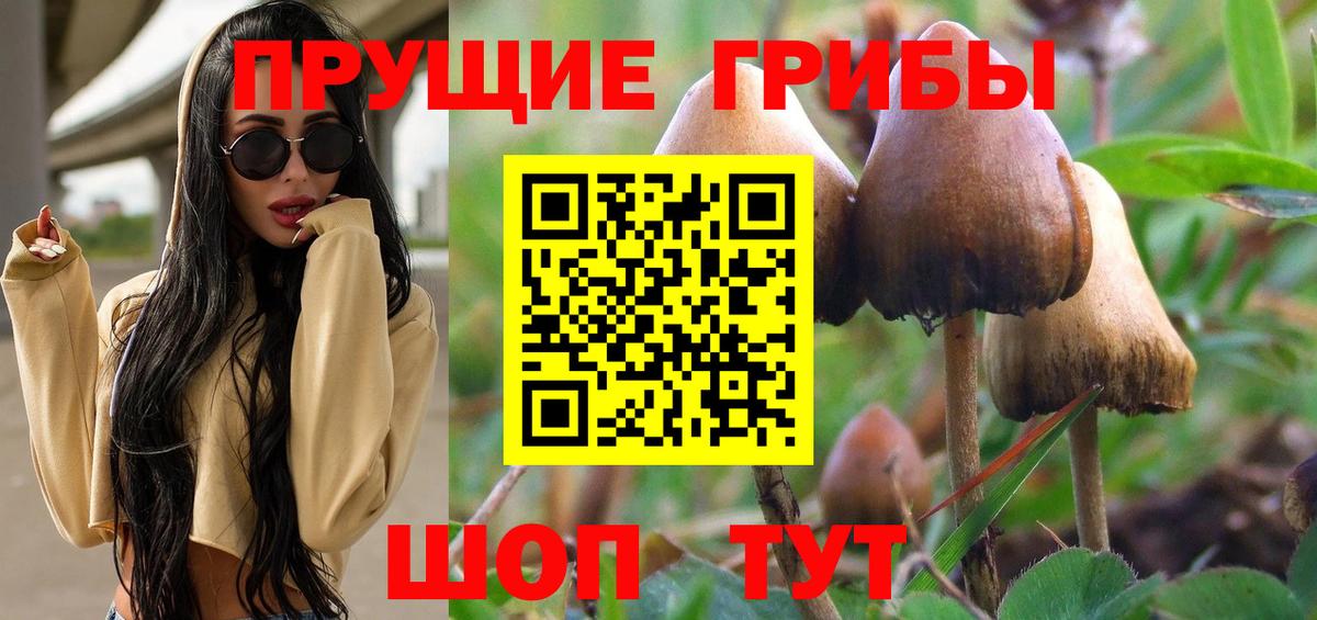 Сызрань  Псилоцибиновые грибы MAGIC MUSHROOMS  Вход с VPN  Галлюциногенные грибы Psilocybe 